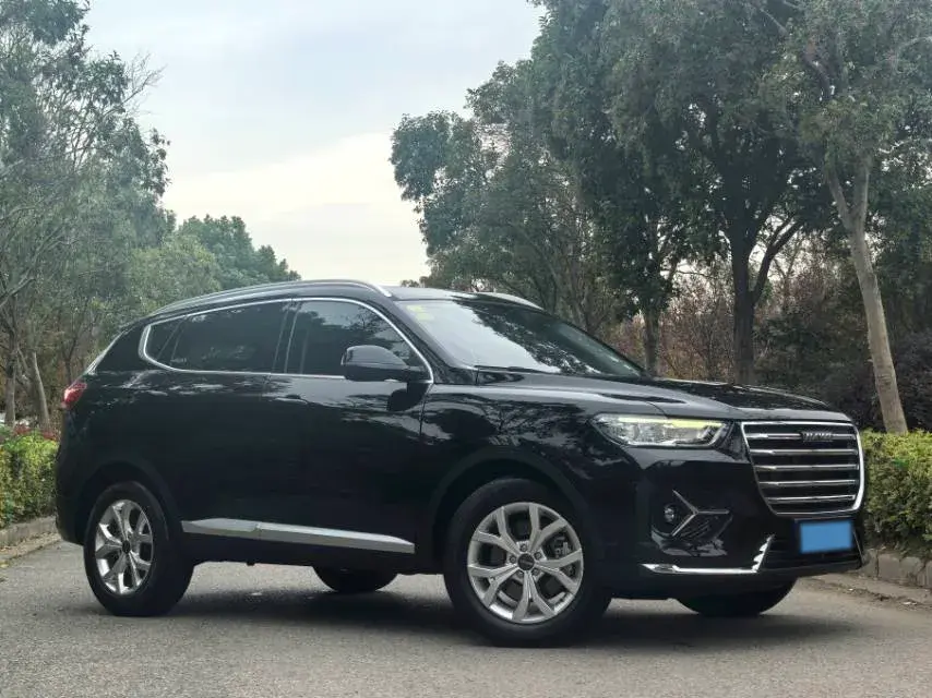 2021 HAVAL H6 thumbnail 3