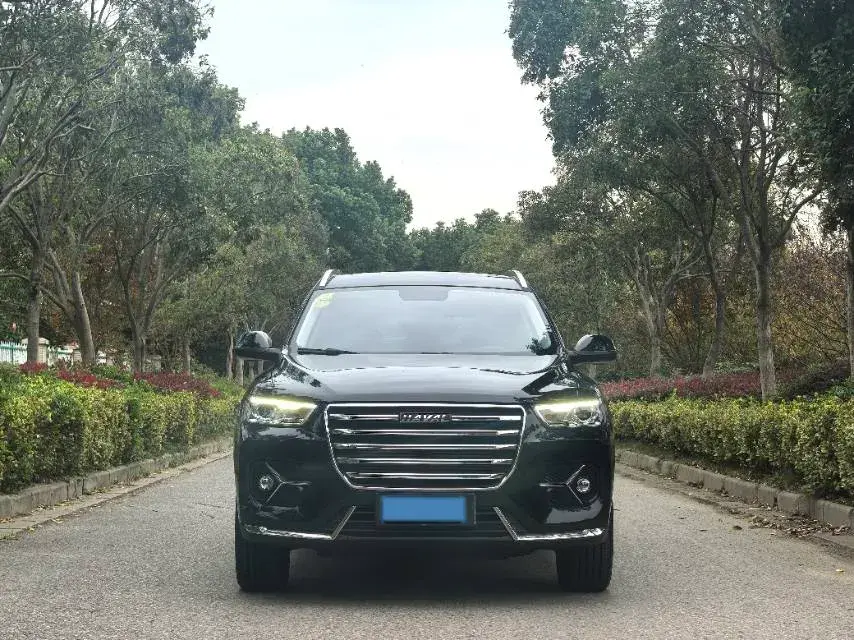 2021 HAVAL H6 thumbnail 2