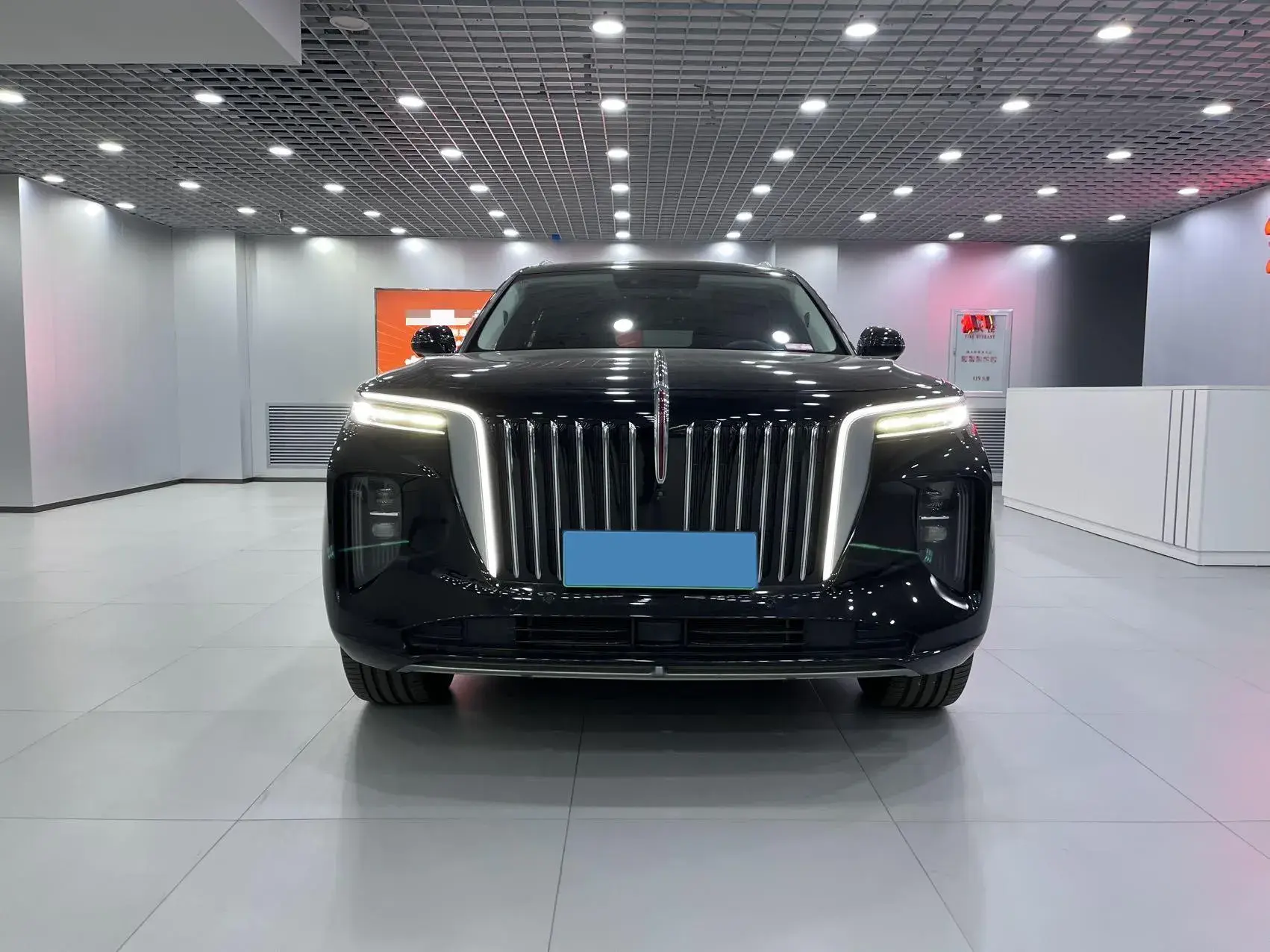 2021 HONGQI E-HS9 thumbnail 2