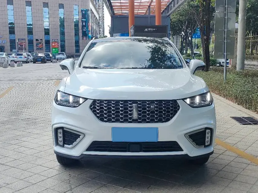 2020 WEY VV5 thumbnail 3