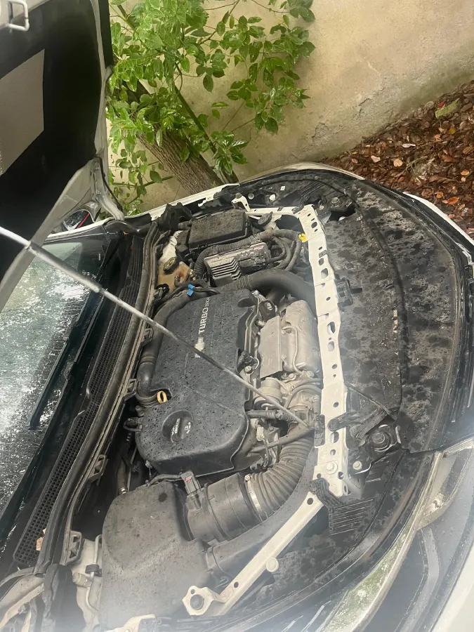 2018 Chevrolet Cruze 1.4T 150HP L4 7DCT,autocango,china used car exporter,china ev exporter,chinese used car exporter,chinese used ev exporter