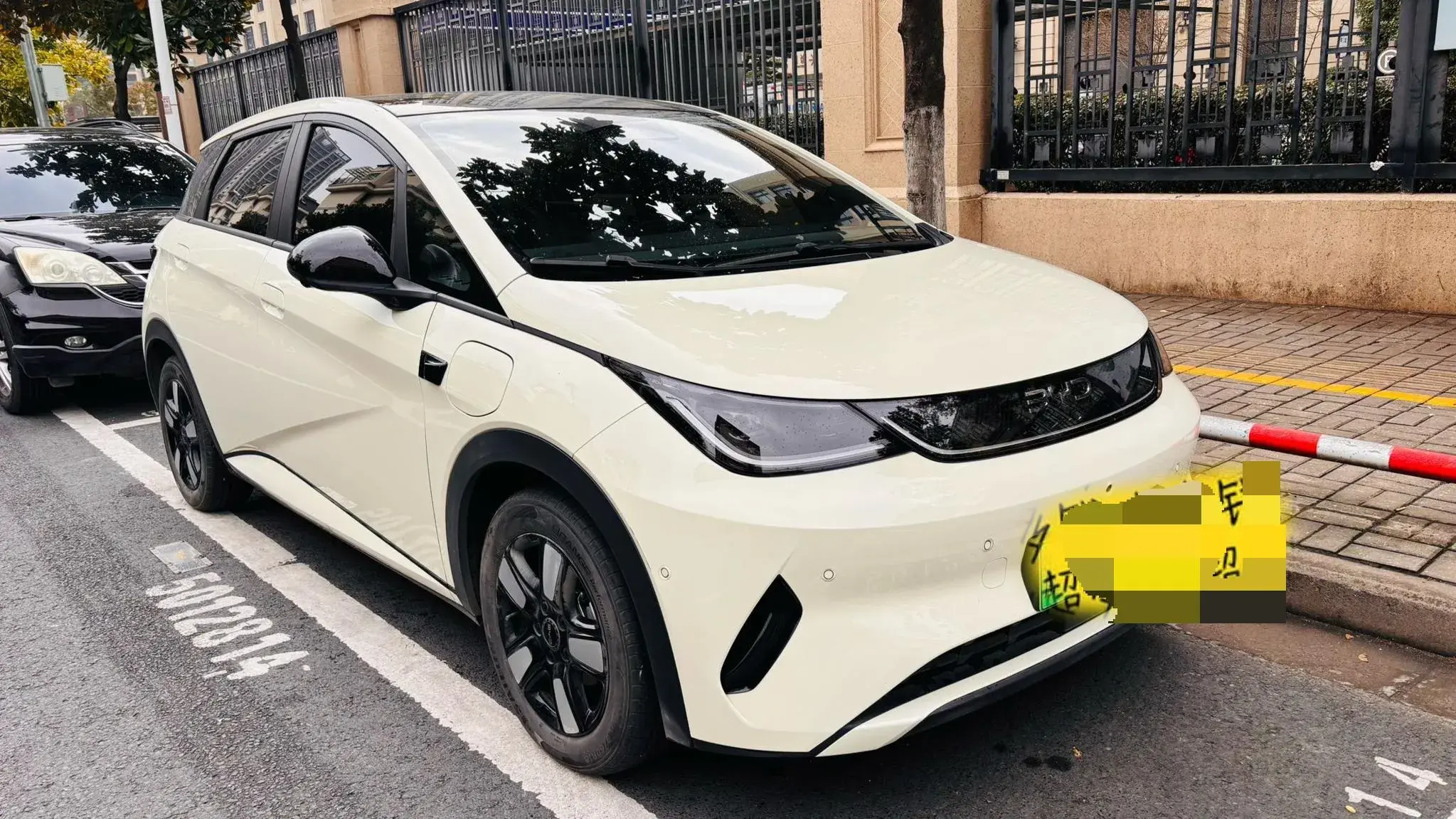 2025 BYD DOLPHIN thumbnail 2