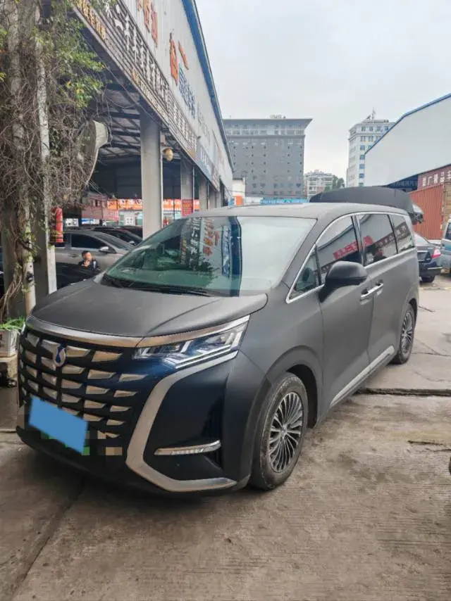 2022 DENZA D9 view 1