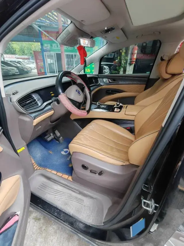 2022 DENZA D9 thumbnail 3