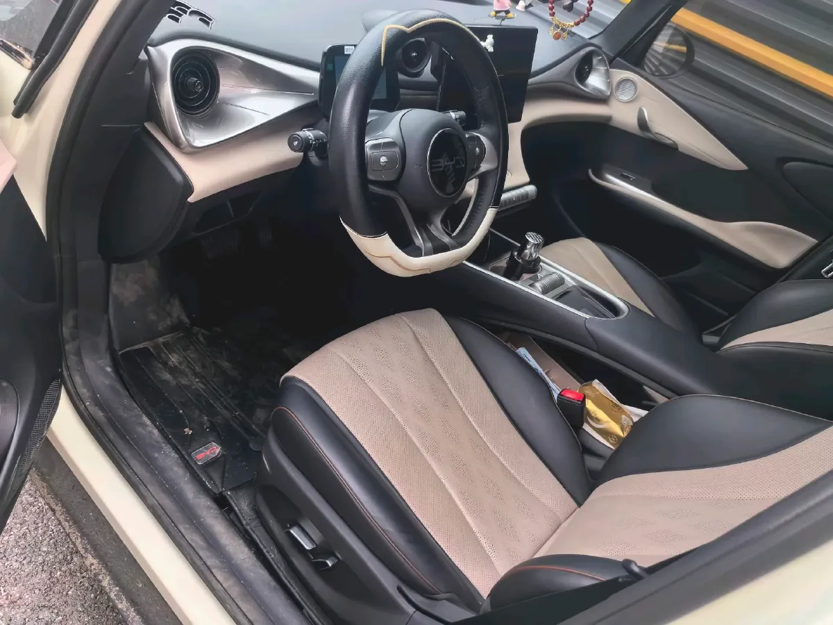 2024 BYD Dolphin BEV 44.928KWH,autocango,china used car exporter,china ev exporter,chinese used car exporter,chinese used ev exporter