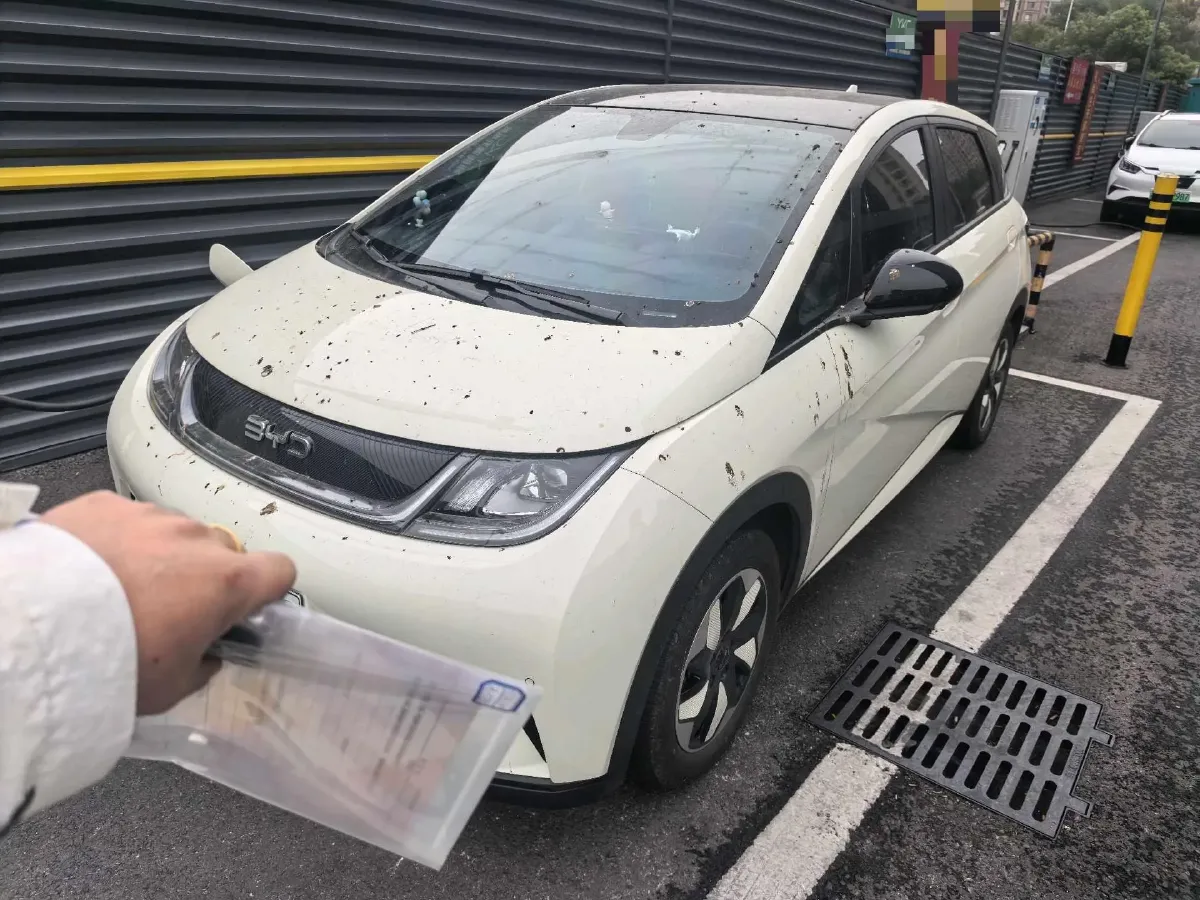 2024 BYD Dolphin BEV 44.928KWH,autocango,china used car exporter,china ev exporter,chinese used car exporter,chinese used ev exporter