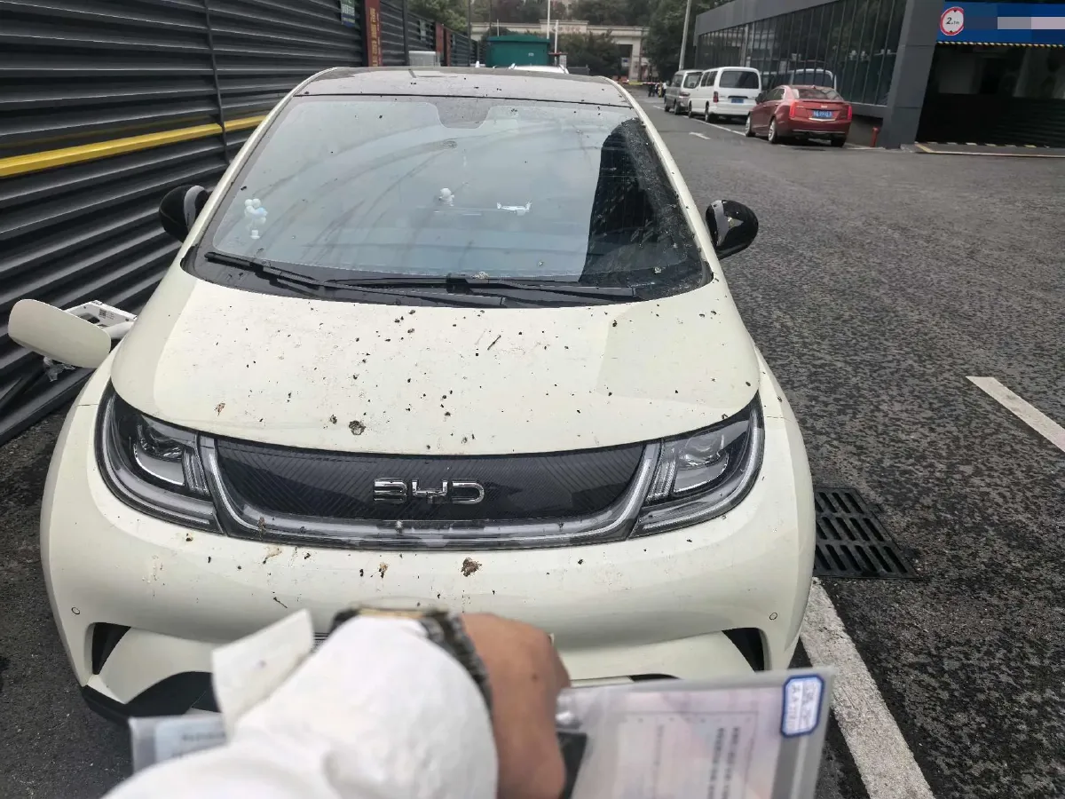 2024 BYD Dolphin BEV 44.928KWH,autocango,china used car exporter,china ev exporter,chinese used car exporter,chinese used ev exporter