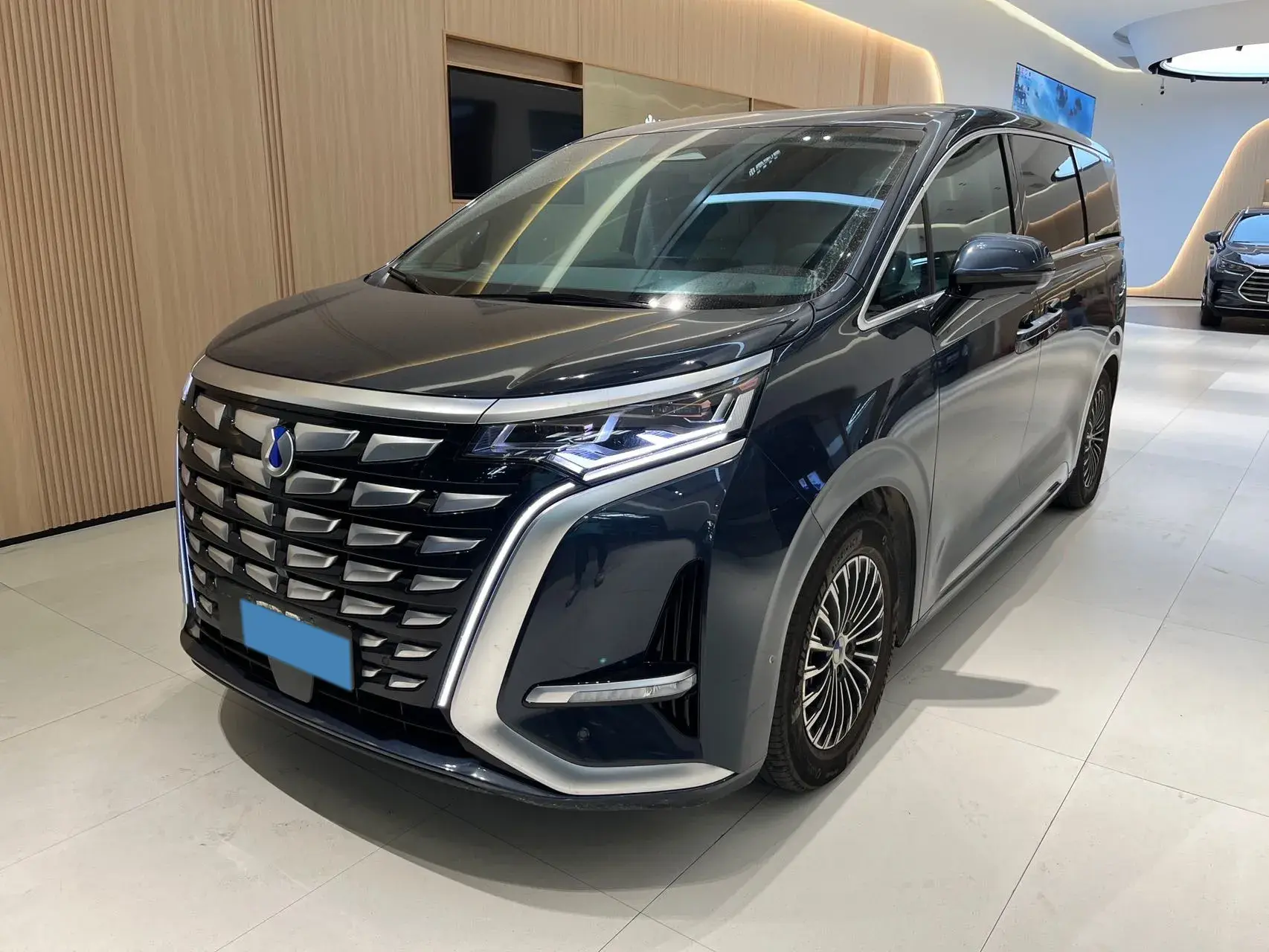 2022 DENZA D9 view 1