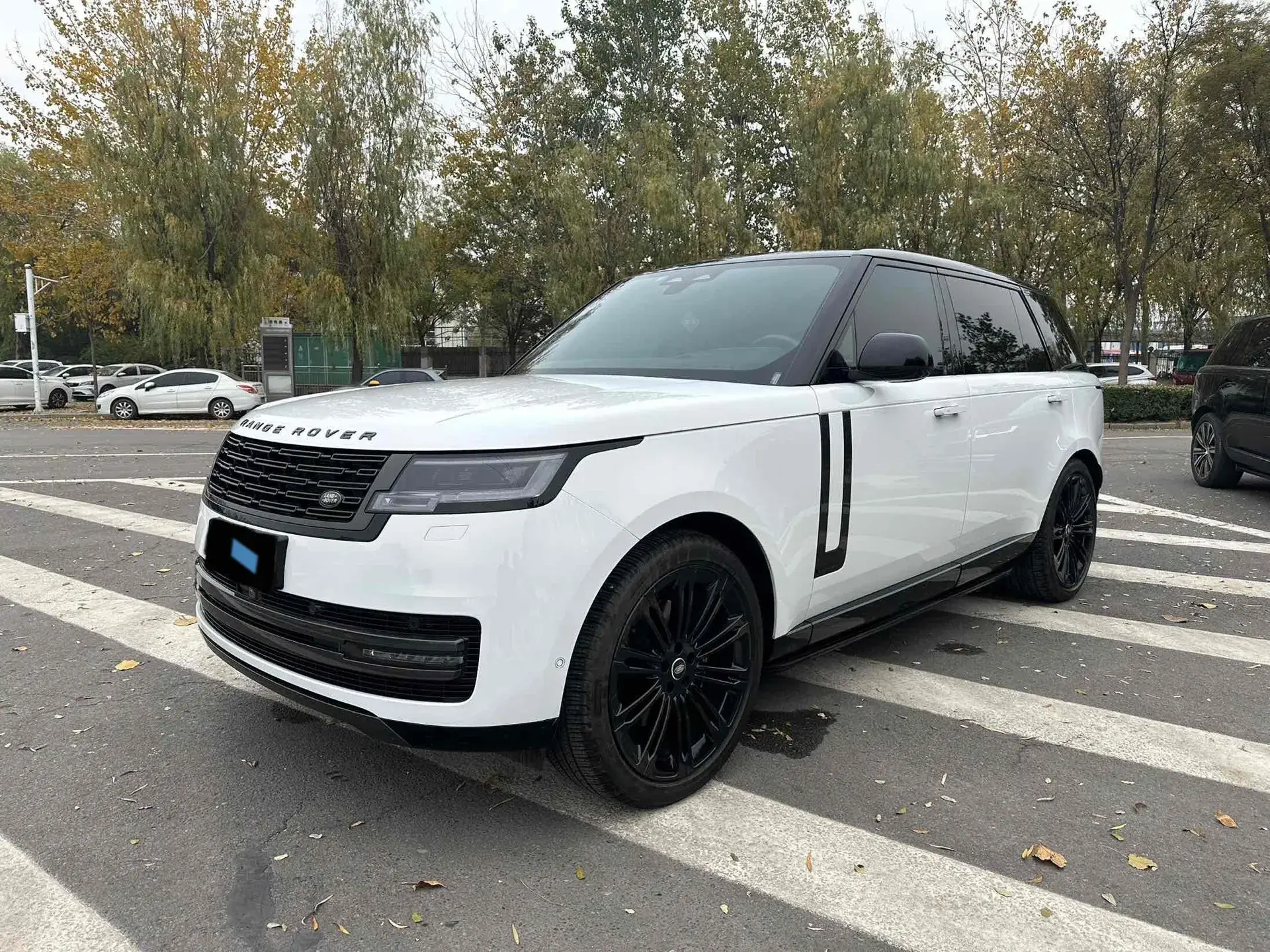 2024 LAND ROVER view 1