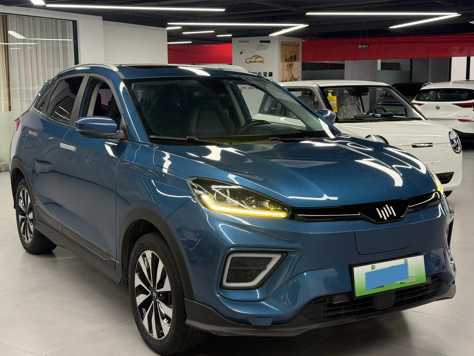 2020 WELTMEISTER EX5 thumbnail 3