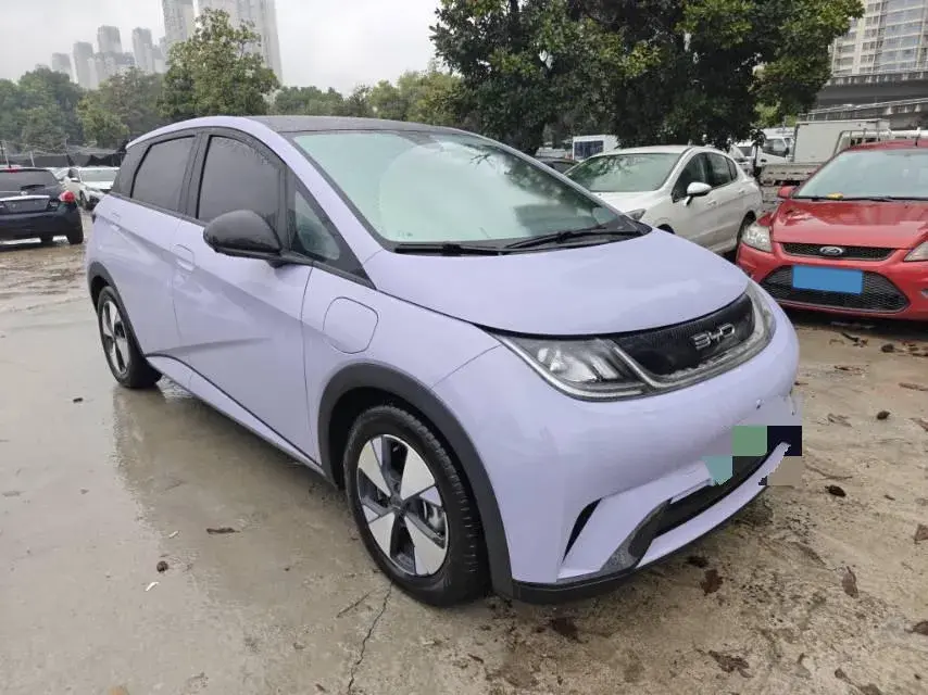 2023 BYD DOLPHIN thumbnail 3