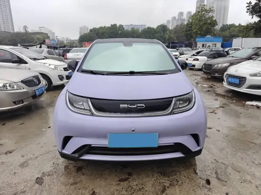 2023 BYD DOLPHIN thumbnail 2