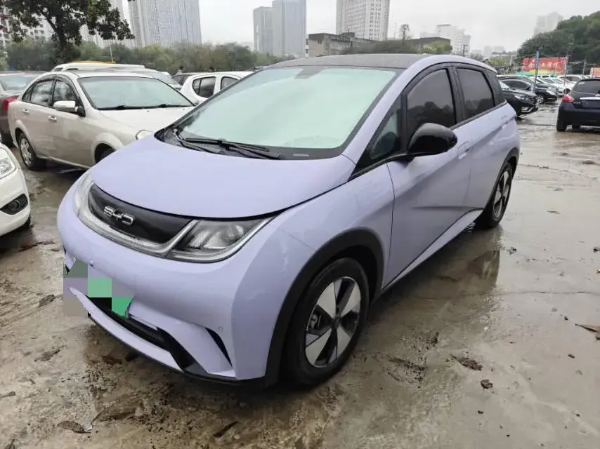 2023 BYD DOLPHIN view 1