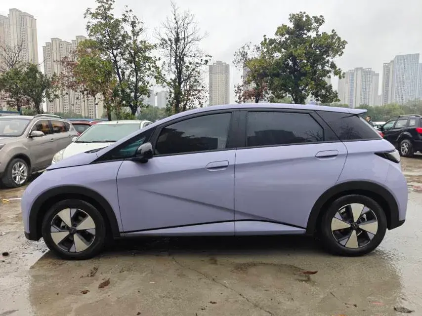 2023 BYD DOLPHIN thumbnail 4