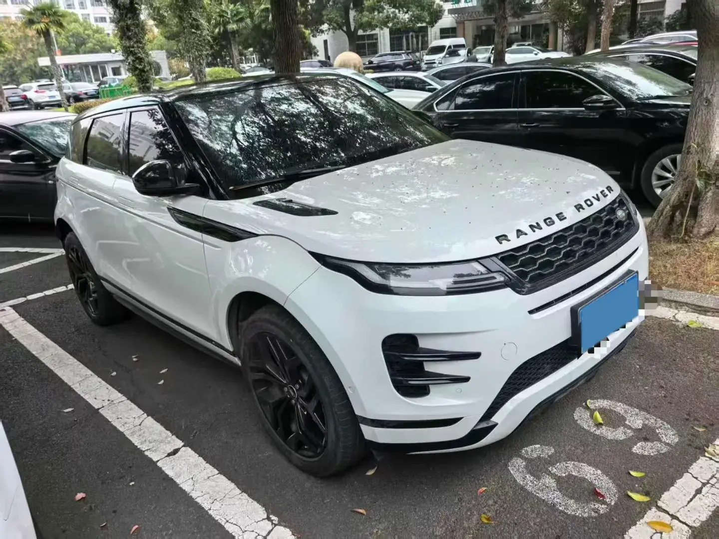 2021 LAND ROVER thumbnail 3