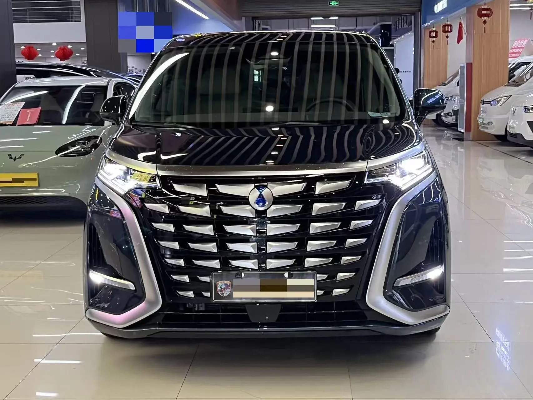 2022 DENZA D9 thumbnail 2