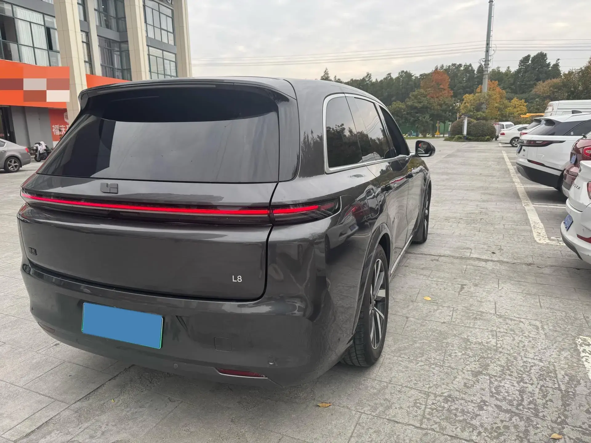 2023 LI L8 thumbnail 4