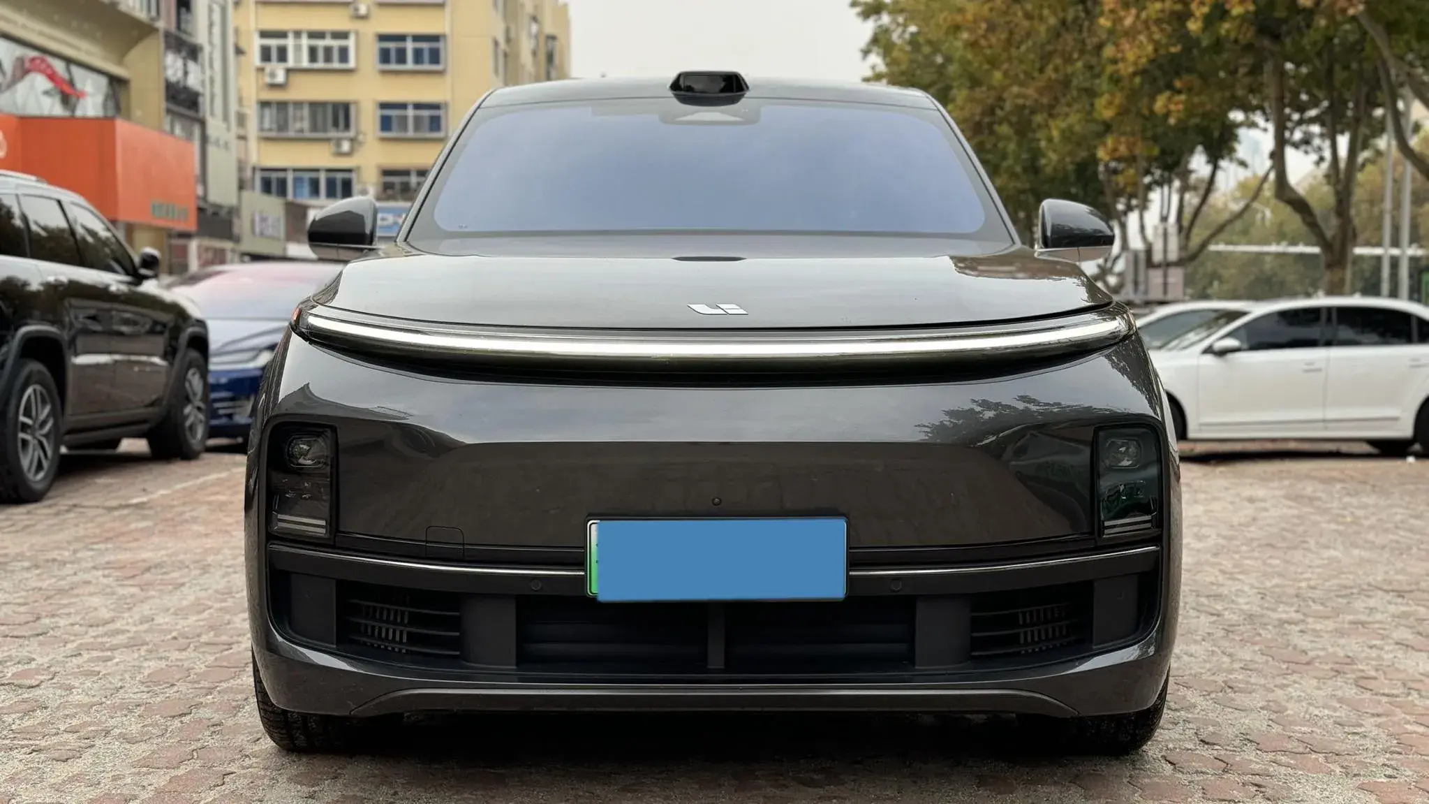 2023 LI L8 thumbnail 2