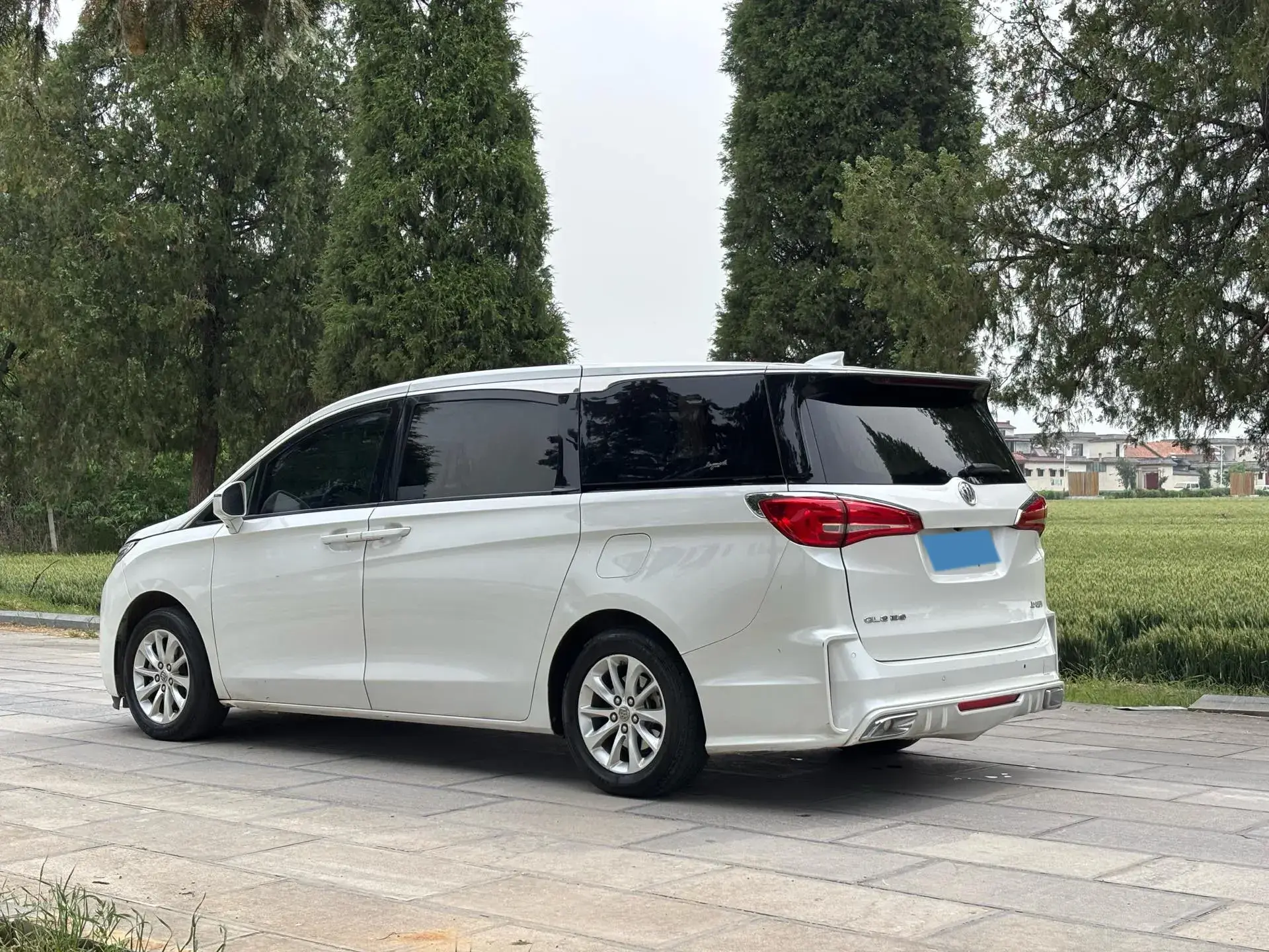 2018 BUICK GL8 thumbnail 3