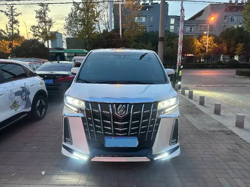 2019 TOYOTA ALPHARD thumbnail 2