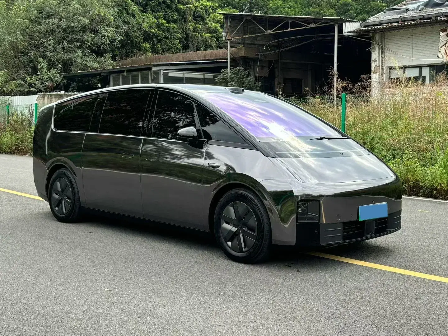 2025 LI MEGA thumbnail 3