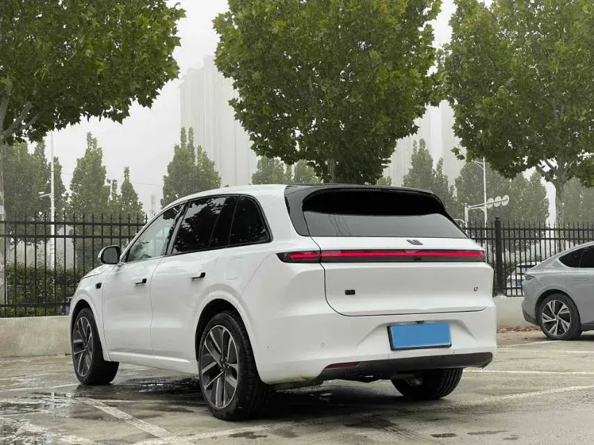 2024 LI L6 thumbnail 4