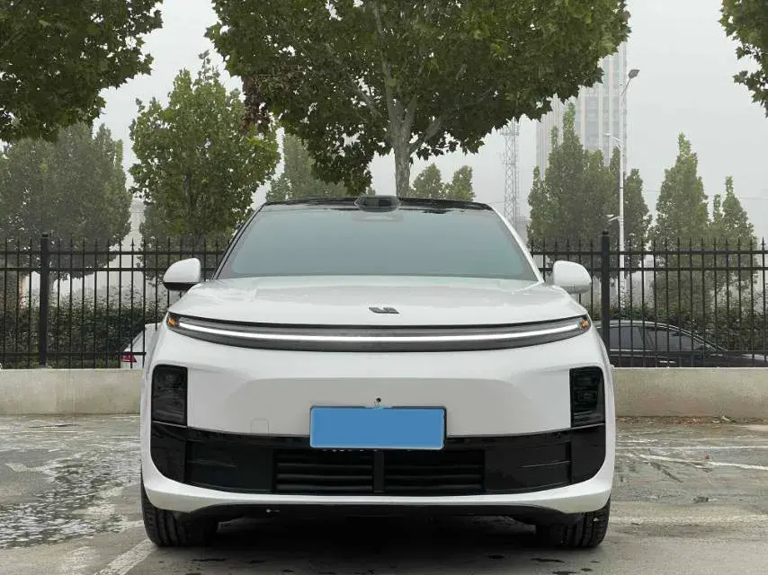 2024 LI L6 thumbnail 2