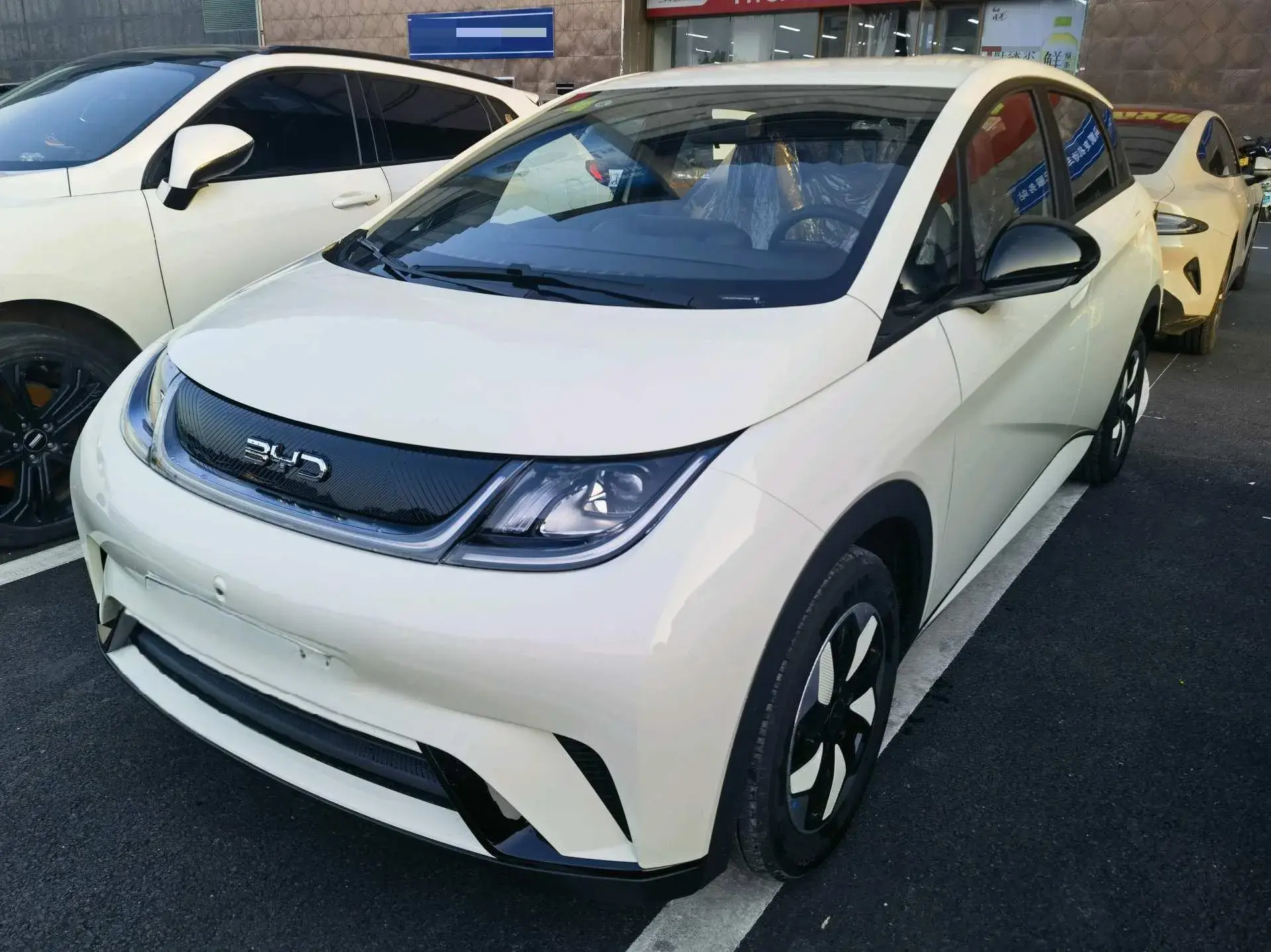 2025 BYD DOLPHIN view 1