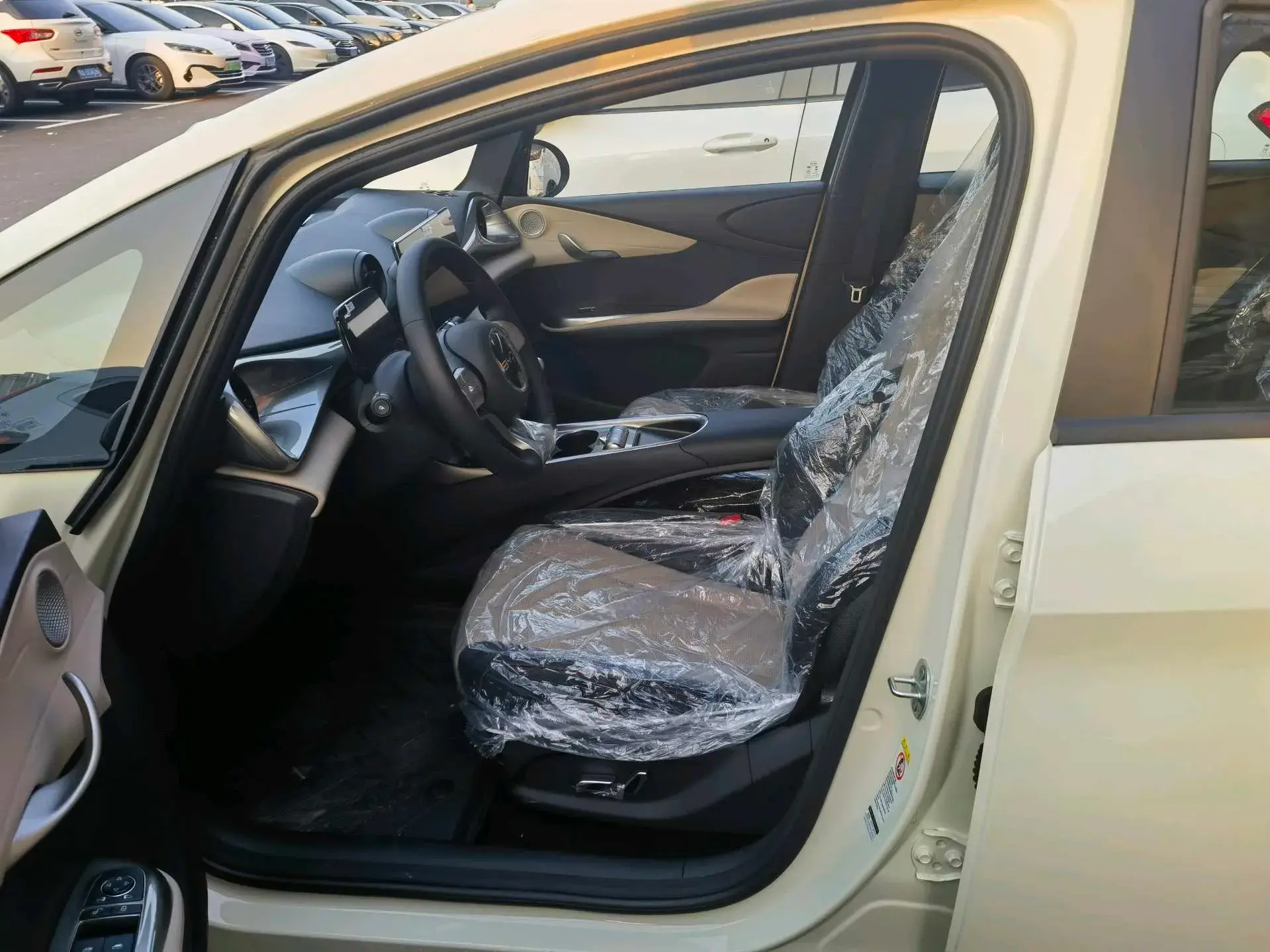 2025 BYD DOLPHIN thumbnail 2