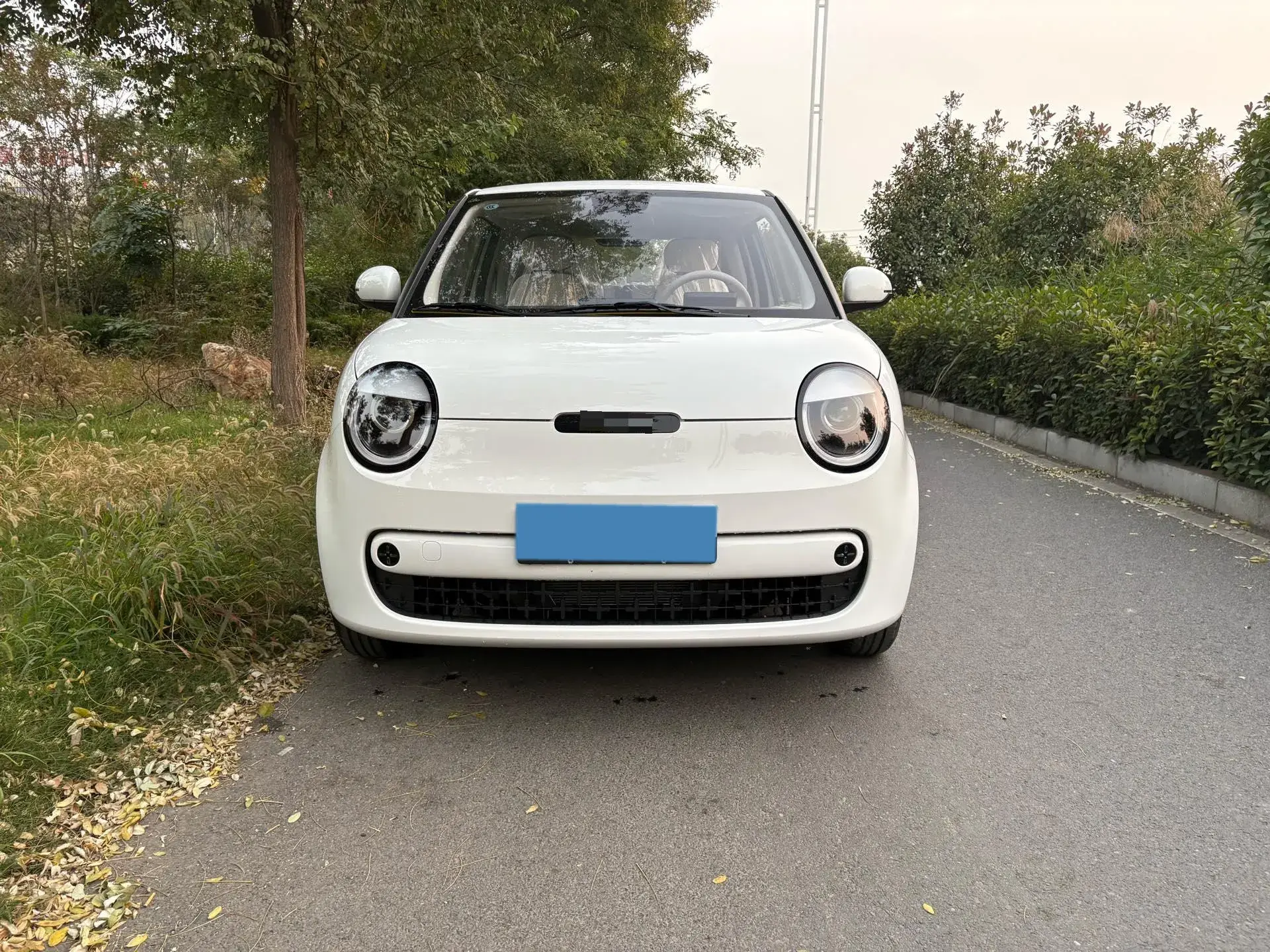 2023 DONGFENG NAMMI thumbnail 2