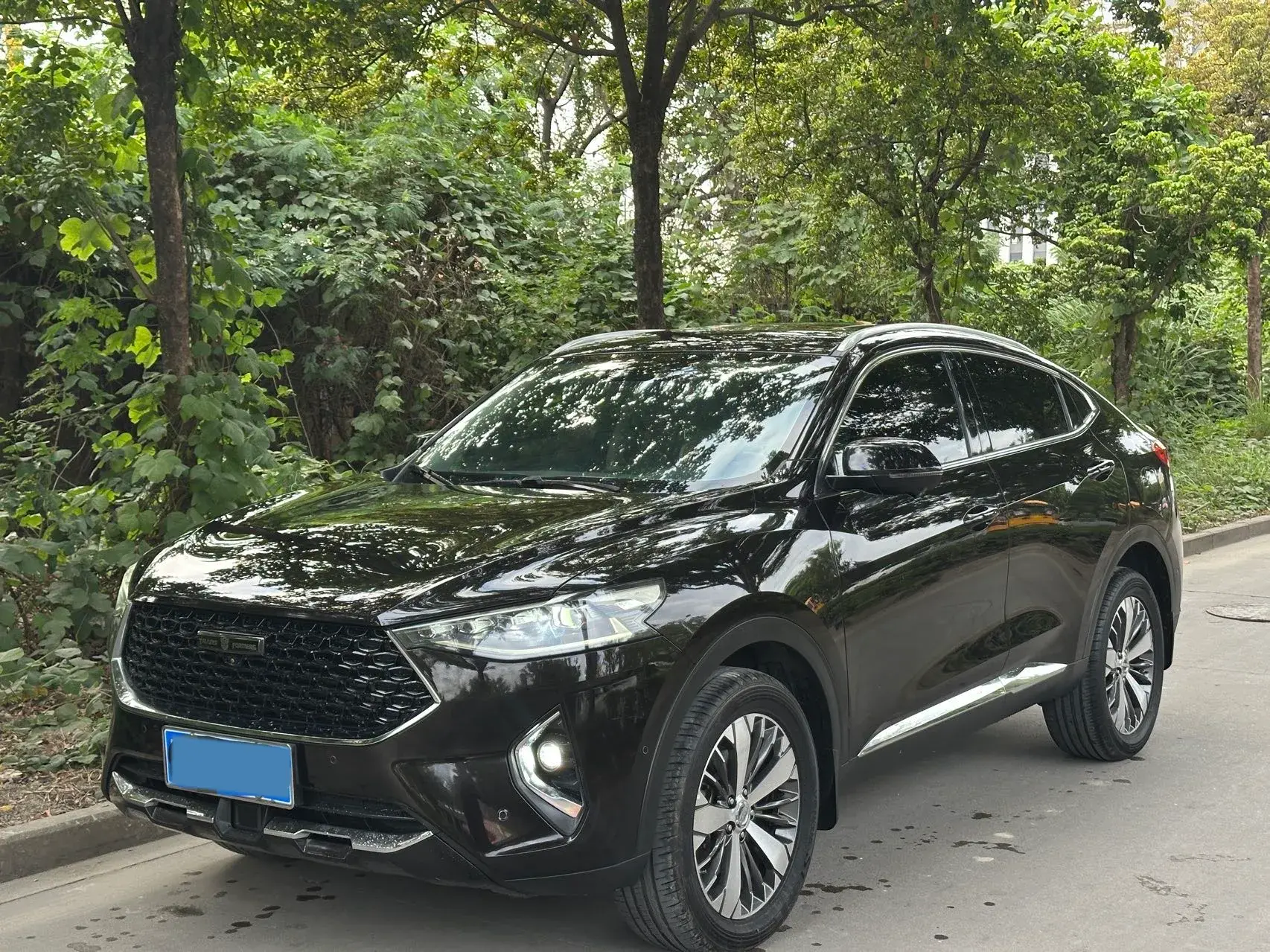 2019 HAVAL F7X view 1