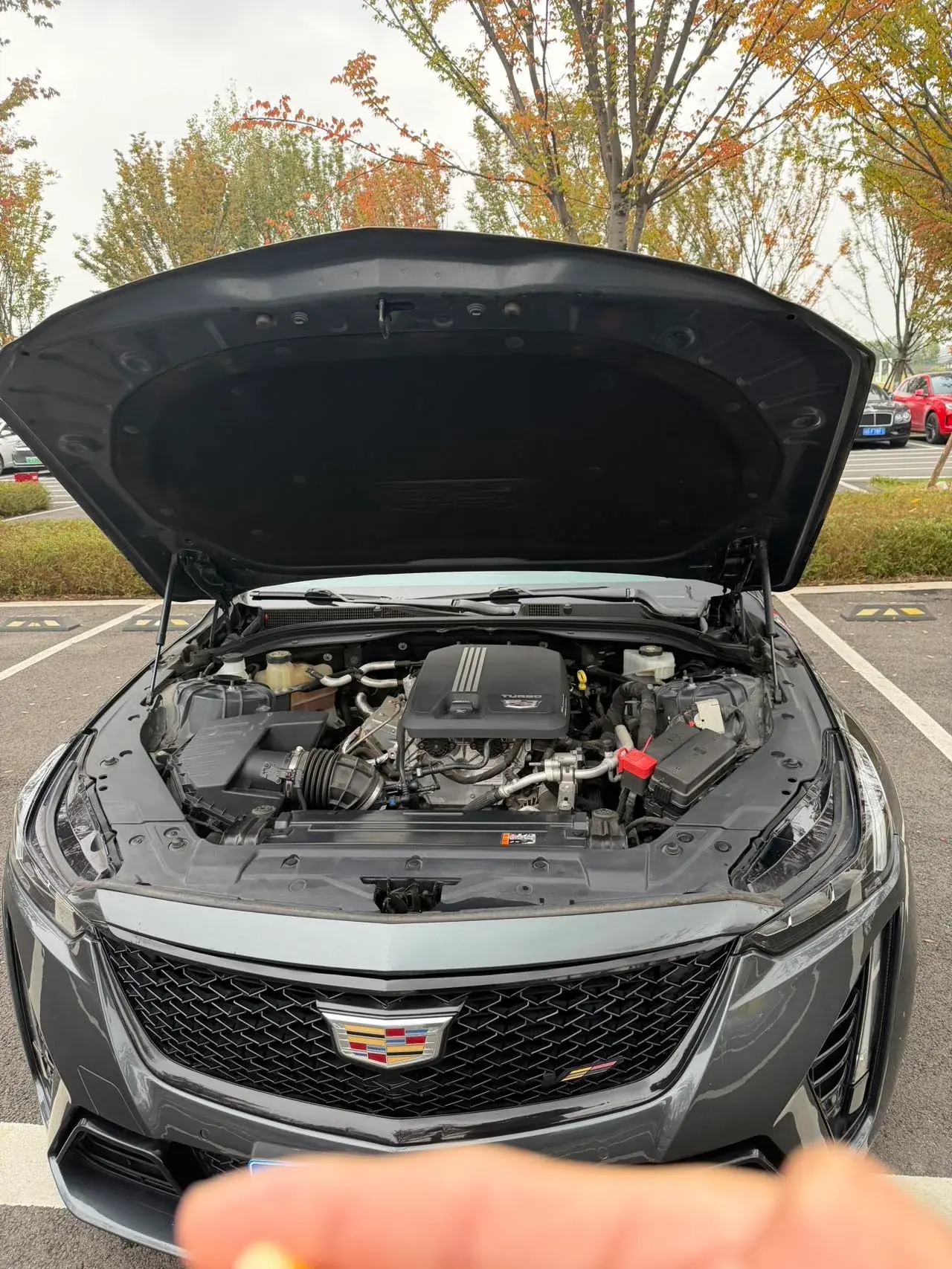 2021 CADILLAC CT5 thumbnail 3