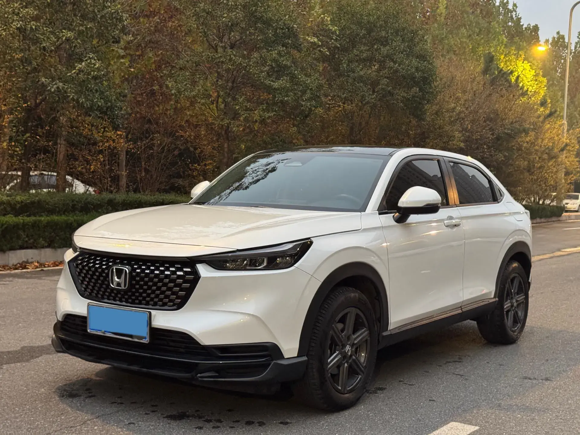 2023 HONDA XR-V view 1