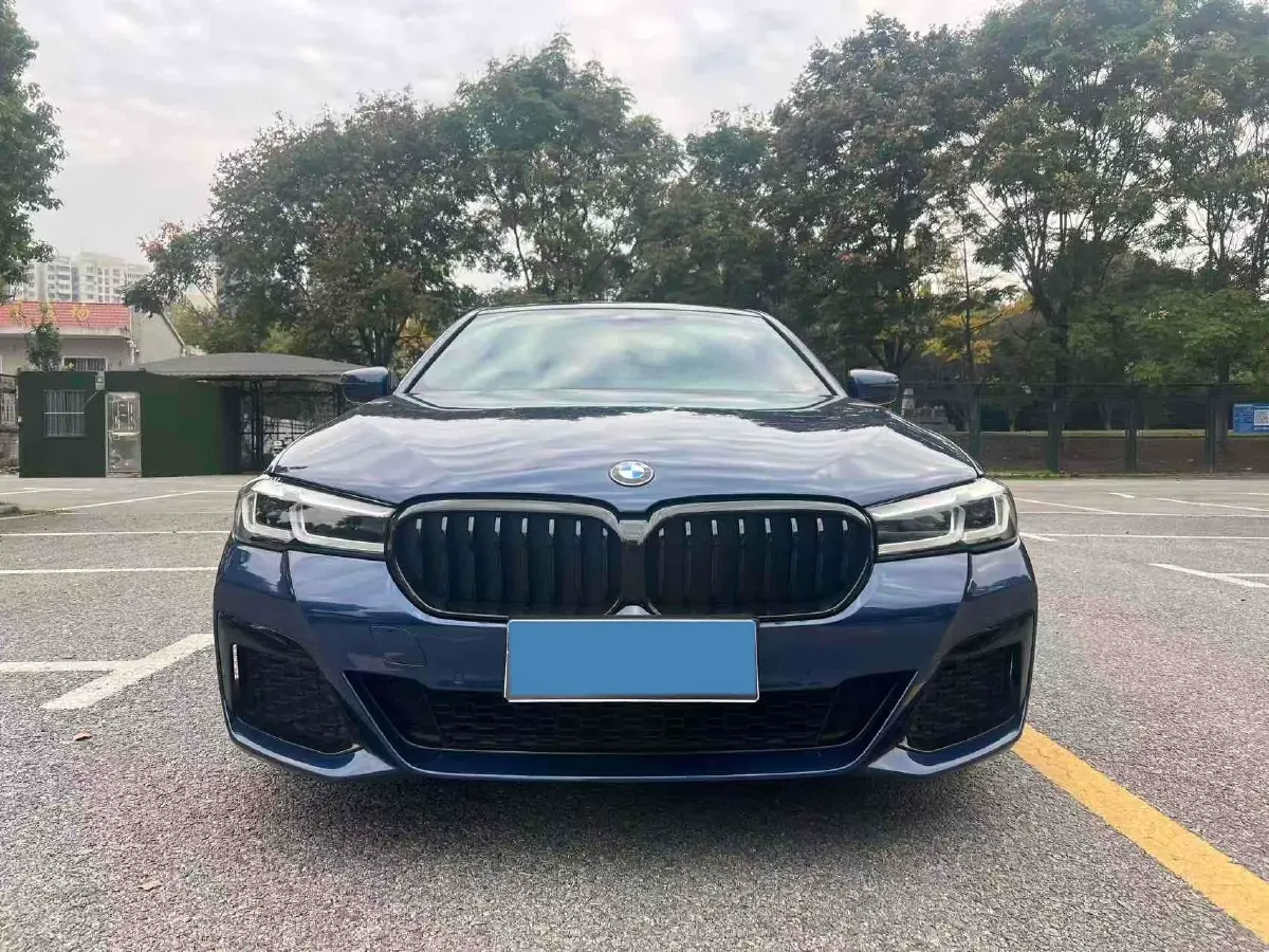 2021 BMW 5 Series 2.0T 184HP L4 8AT,autocango,china used car exporter,china ev exporter,chinese used car exporter,chinese used ev exporter