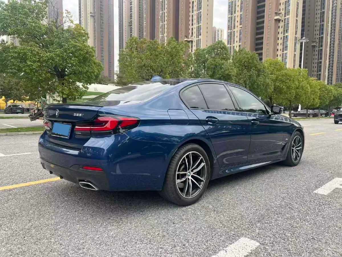 2021 BMW 5 Series 2.0T 184HP L4 8AT,autocango,china used car exporter,china ev exporter,chinese used car exporter,chinese used ev exporter