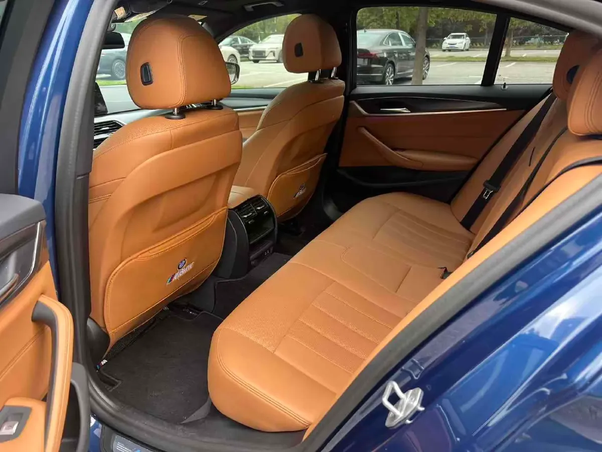 2021 BMW 5 Series 2.0T 184HP L4 8AT,autocango,china used car exporter,china ev exporter,chinese used car exporter,chinese used ev exporter
