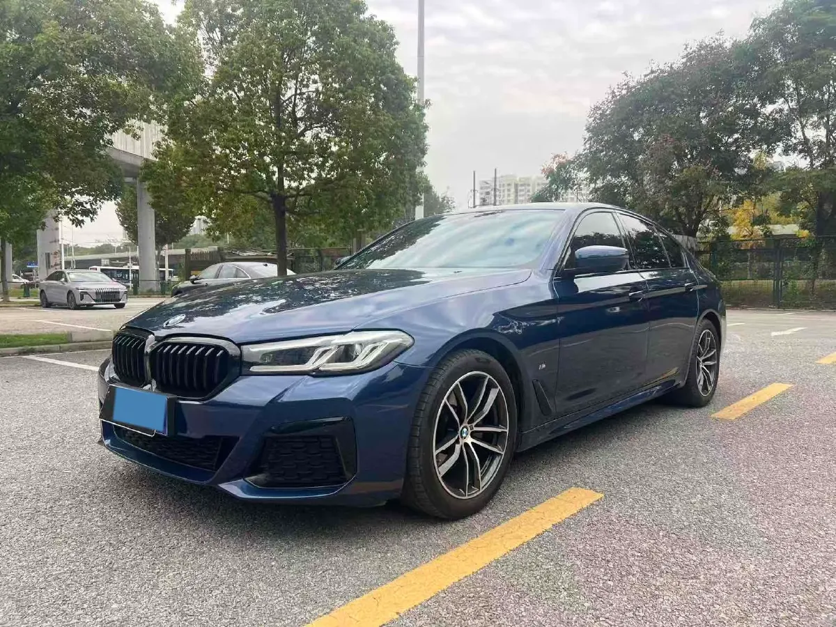 2021 BMW 5 Series 2.0T 184HP L4 8AT,autocango,china used car exporter,china ev exporter,chinese used car exporter,chinese used ev exporter