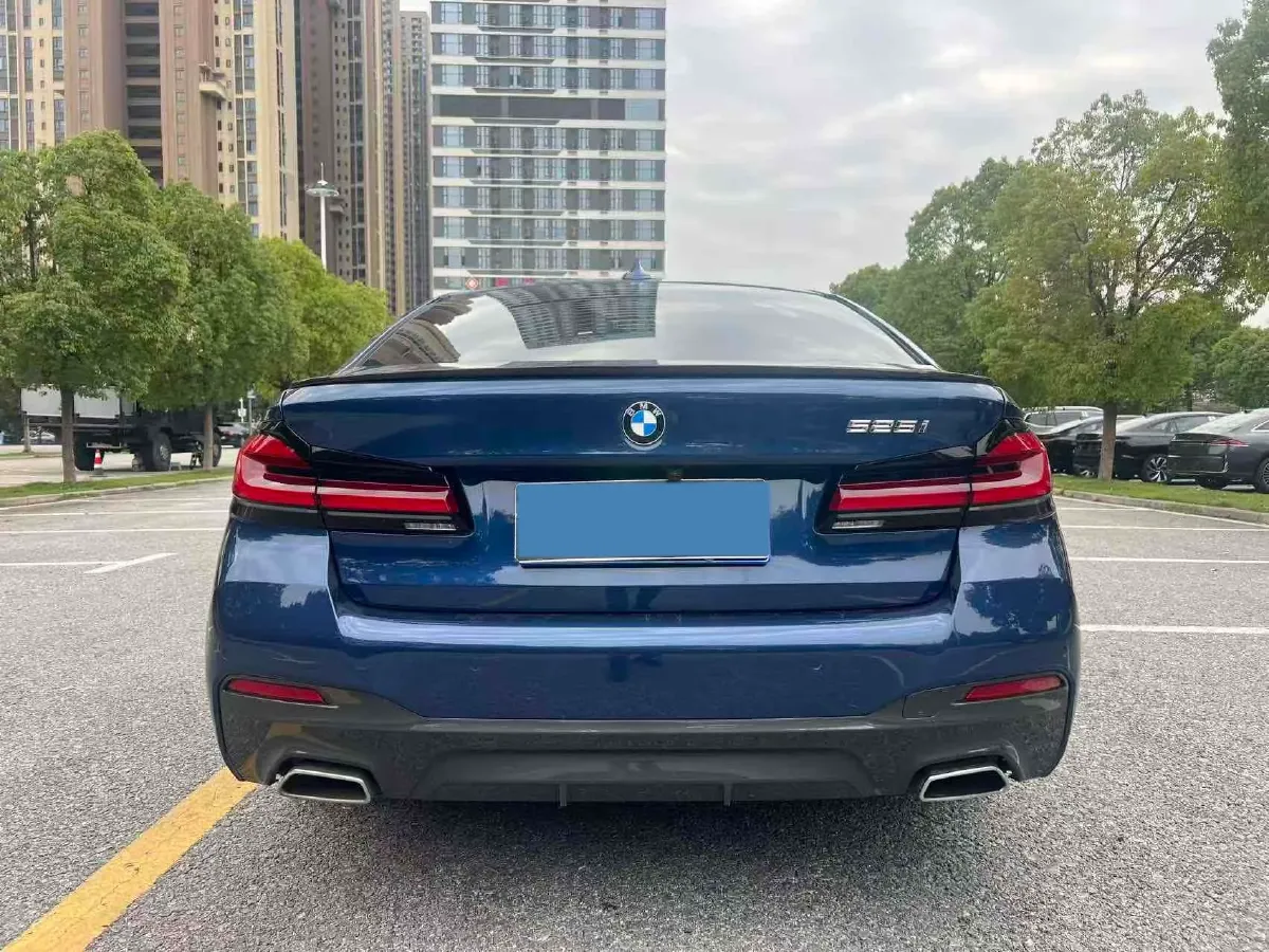 2021 BMW 5 Series 2.0T 184HP L4 8AT,autocango,china used car exporter,china ev exporter,chinese used car exporter,chinese used ev exporter