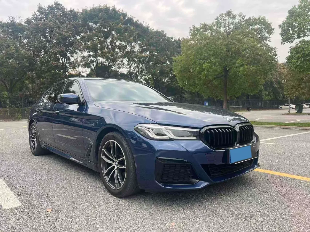 2021 BMW 5 Series 2.0T 184HP L4 8AT,autocango,china used car exporter,china ev exporter,chinese used car exporter,chinese used ev exporter