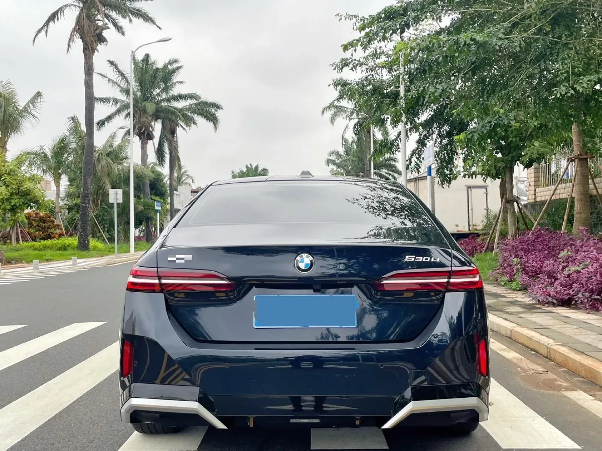 2025 BMW 5 Series 2.0T 258HP L4 8AT,autocango,china used car exporter,china ev exporter,chinese used car exporter,chinese used ev exporter