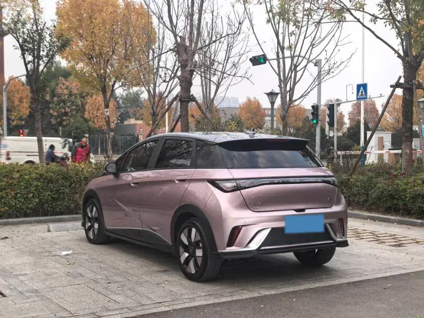 2021 BYD DOLPHIN thumbnail 4