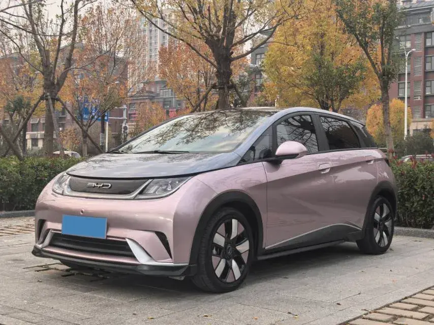 2021 BYD DOLPHIN view 1