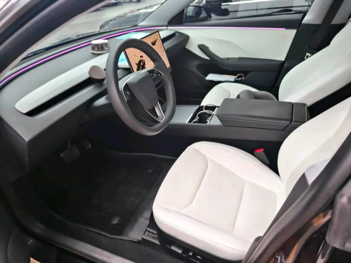 2023 Tesla Model 3 BEV 60KWH,autocango,china used car exporter,china ev exporter,chinese used car exporter,chinese used ev exporter