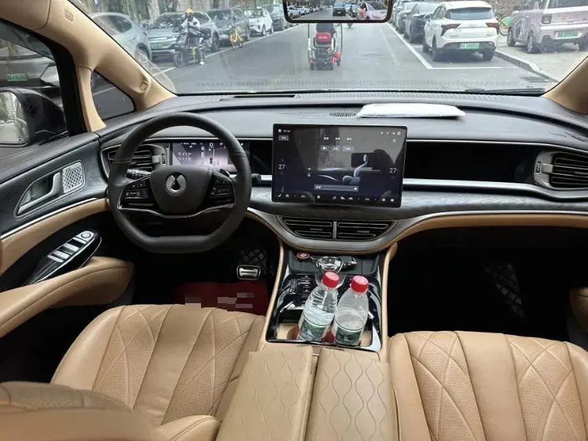 2025 DENZA D9 thumbnail 2