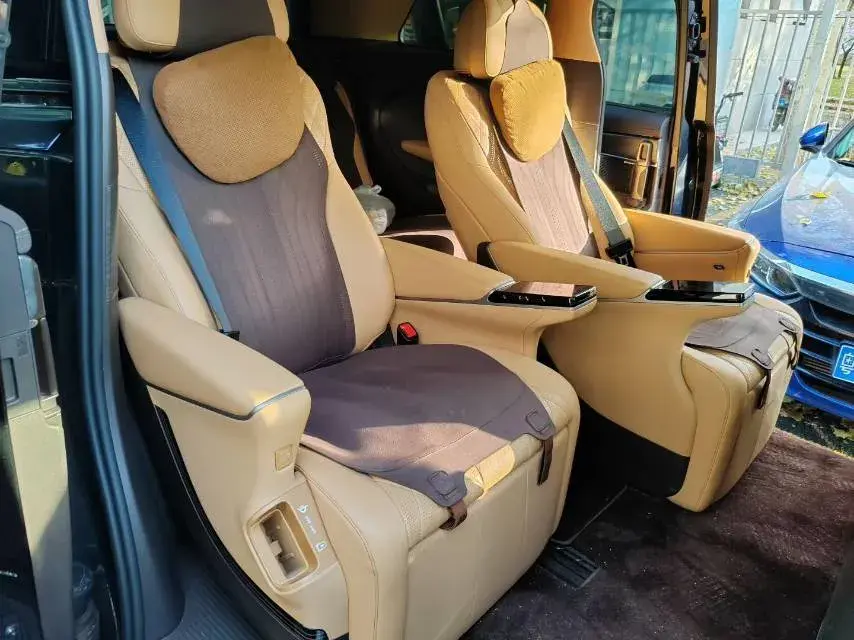 2025 DENZA D9 thumbnail 4