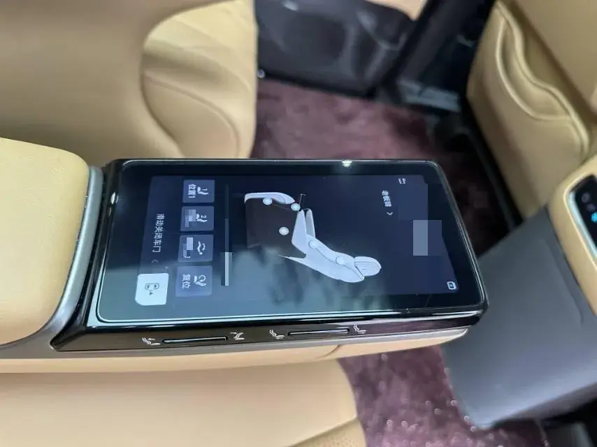 2025 DENZA D9 thumbnail 3