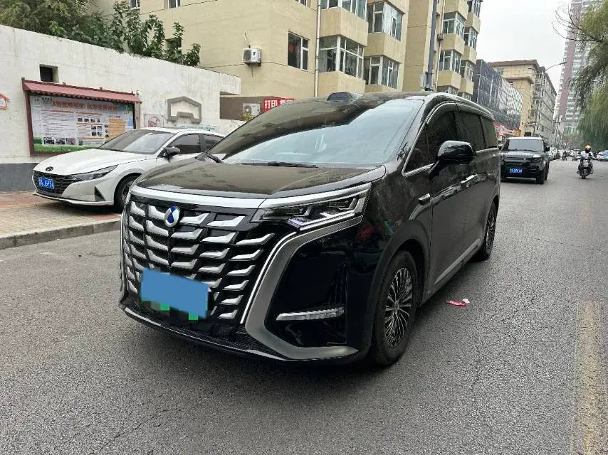 2025 DENZA D9 view 1