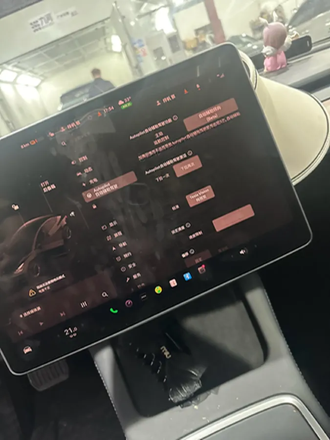 2022 Tesla Model 3 BEV 60KWH,autocango,china used car exporter,china ev exporter,chinese used car exporter,chinese used ev exporter