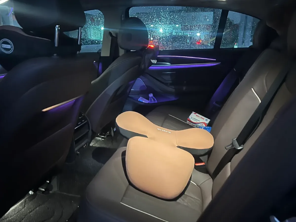 2023 BMW 5 Series 2.0T 245HP L4 8AT,autocango,china used car exporter,china ev exporter,chinese used car exporter,chinese used ev exporter