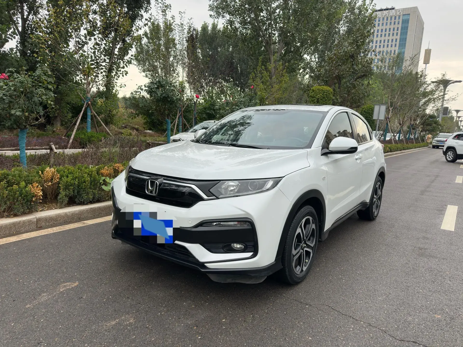 2020 HONDA XR-V view 1